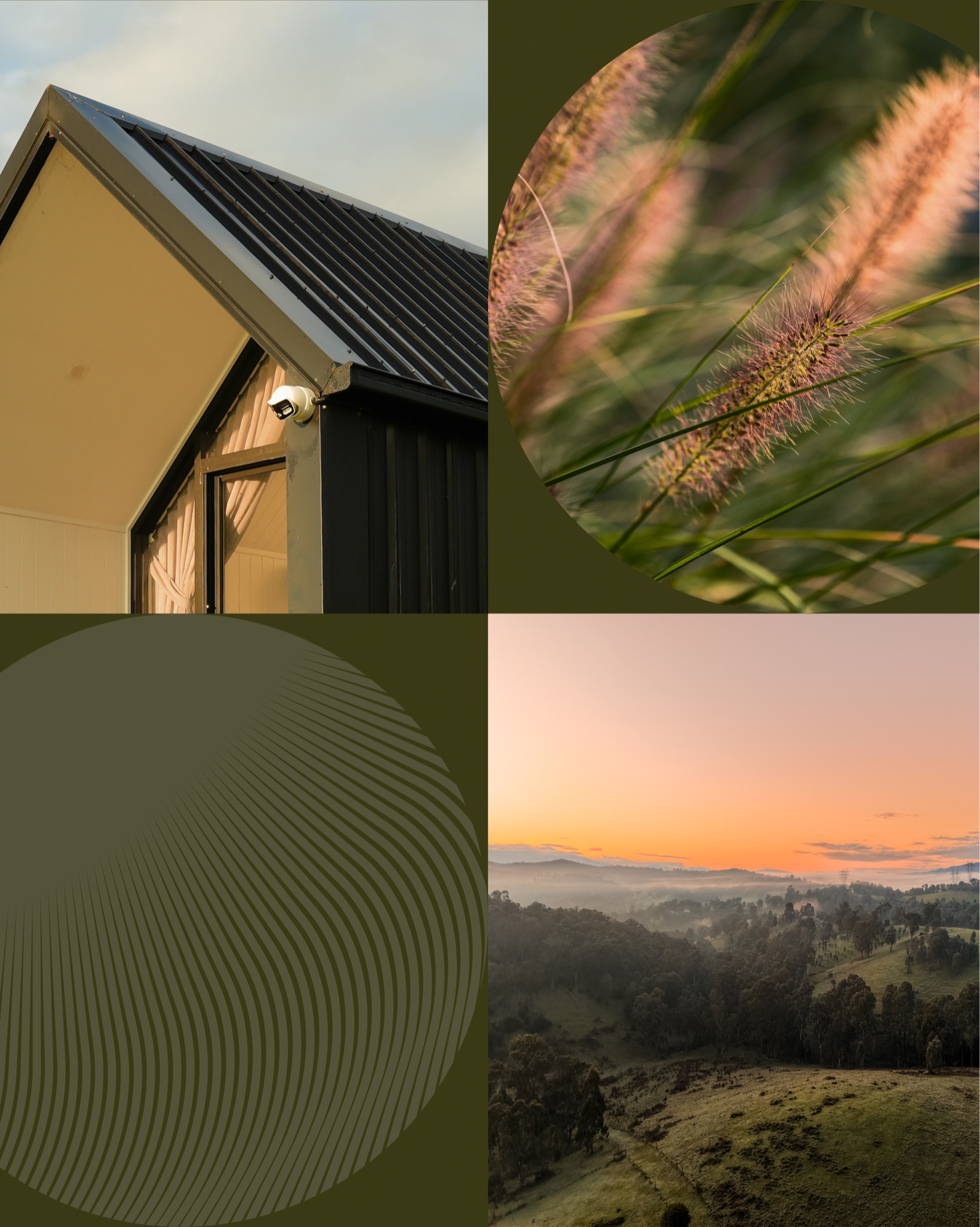 Dwell moodboard: a gabled black-roofed home, sunlit grasses, an olive line pattern and a misty valley at sunrise